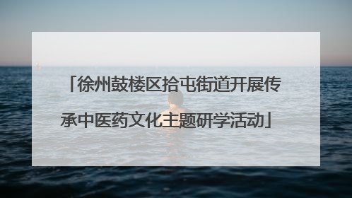 徐州鼓楼区拾屯街道开展传承中医药文化主题研学活动